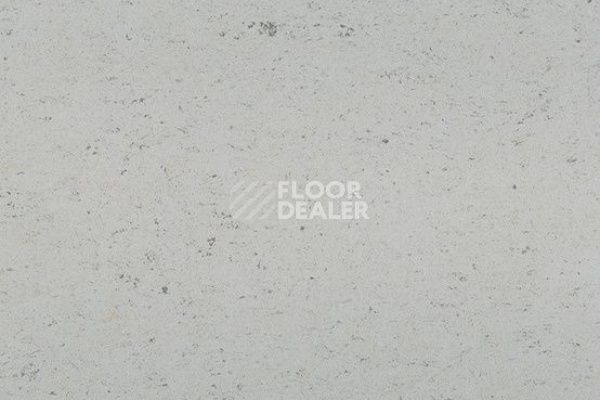 Линолеум Colorette 0058 Aluminium Grey фото 1 | FLOORDEALER