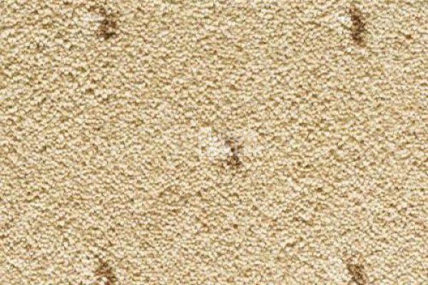 Ковролин CONDOR Carpets Africa 115 фото 1 | FLOORDEALER