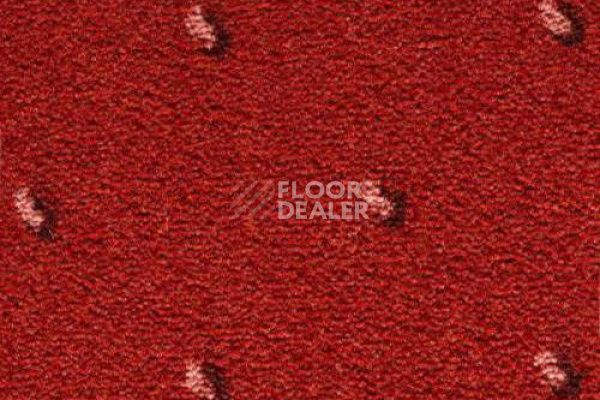 Ковролин CONDOR Carpets Africa 235 фото 1 | FLOORDEALER