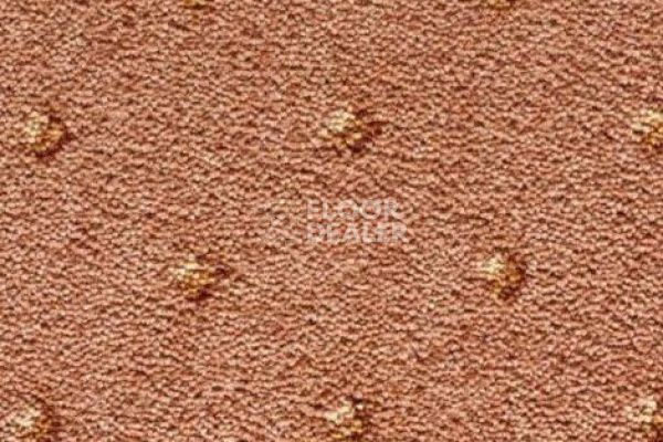 Ковролин CONDOR Carpets Asia 226 фото 1 | FLOORDEALER