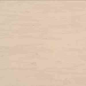Линолеум Armstrong Solid 521-048 ash beige фото ##numphoto## | FLOORDEALER