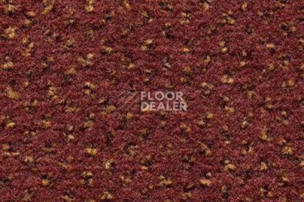 Ковролин CONDOR Carpets Argus 239 фото 1 | FLOORDEALER
