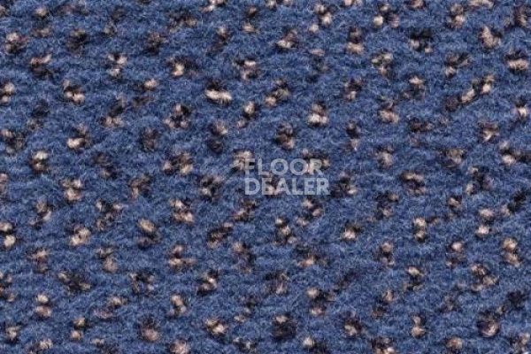 Ковролин CONDOR Carpets Argus 456 фото 1 | FLOORDEALER