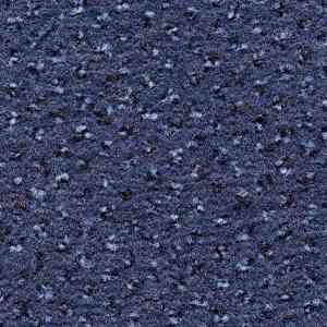 Ковролин CONDOR Carpets Argus 452 фото ##numphoto## | FLOORDEALER