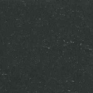 Линолеум Colorette 0081 Private Black фото ##numphoto## | FLOORDEALER