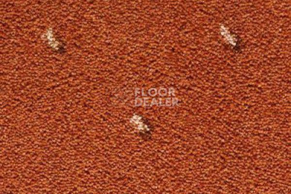 Ковролин CONDOR Carpets Africa 218 фото 1 | FLOORDEALER