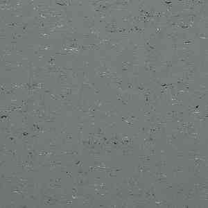 Линолеум Colorette 0059 Stone Grey фото ##numphoto## | FLOORDEALER