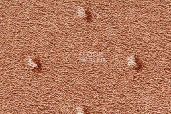 Ковролин CONDOR Carpets Africa 281 фото 1 | FLOORDEALER