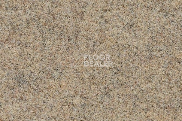 Ковролин Forbo Akzent 10703 sand фото 1 | FLOORDEALER