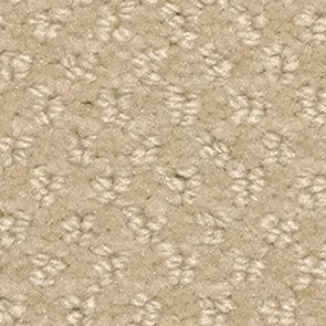 Ковролин Balsan Aquarelle Aquarelle 610 фото  | FLOORDEALER