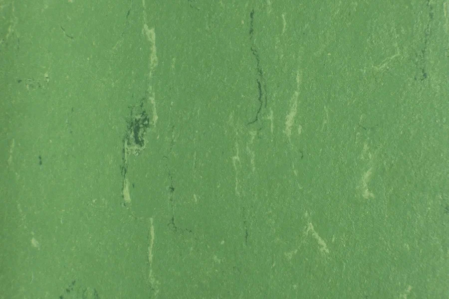 Линолеум Marmoleum Solid Piano 3647-364735 nettle green фото 2 | FLOORDEALER