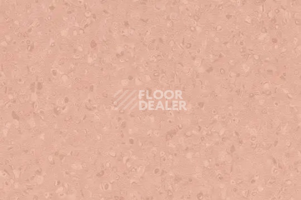 Линолеум Forbo Sphera Element 50073 peach фото 1 | FLOORDEALER