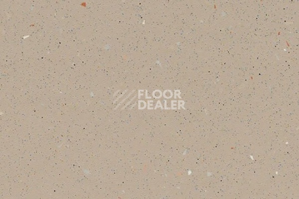 Линолеум FORBO SureStep Original 172842 salmon фото 1 | FLOORDEALER