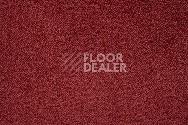 Ковролин Lano Sense Pure 446 фото 1 | FLOORDEALER