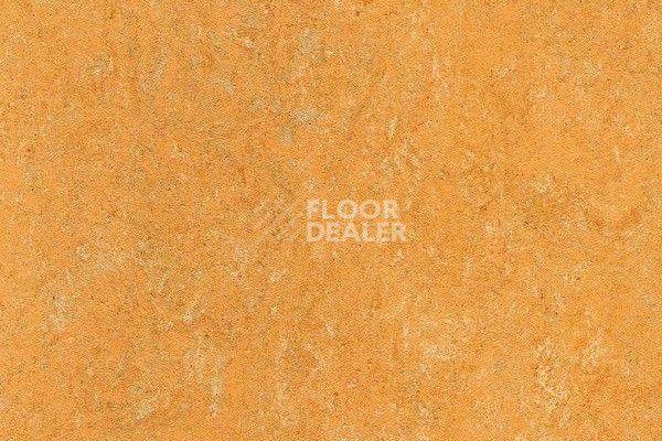 Линолеум Marmorette Dlv  Lch 2.5mm 121-173 фото 1 | FLOORDEALER