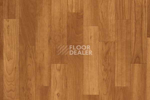 Линолеум Grabo Terrana Top Extra 4121-260 фото 1 | FLOORDEALER