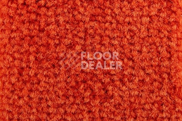 Ковролин Balsan Les Best S 470 фото 1 | FLOORDEALER