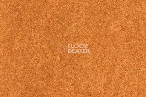 Линолеум Marmorette Dlv  Lch 2.5mm 121-174 фото 1 | FLOORDEALER