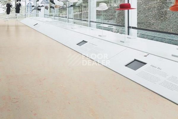 Линолеум Marmoleum Decibel on Order 325735 edelweiss фото 1 | FLOORDEALER