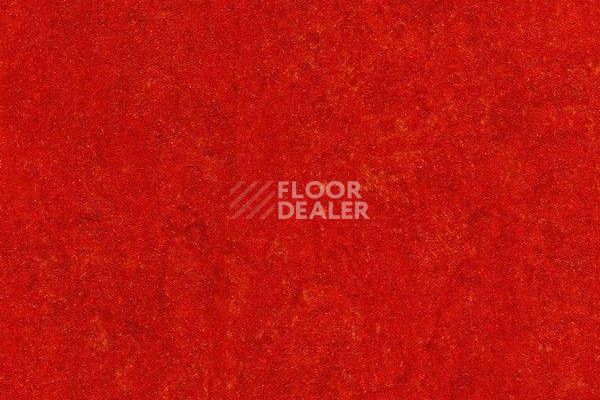 Линолеум Marmorette Dlv  Lch 2.5mm 121-118 фото 1 | FLOORDEALER