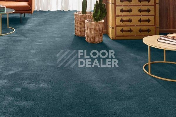 Ковролин VORWERK Exclusive 1060/Safira 3M92 фото 1 | FLOORDEALER