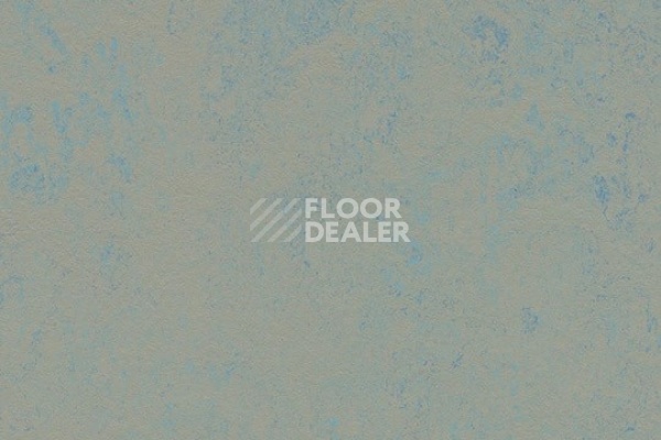 Линолеум Marmoleum Solid Concrete 3763 blue shimmer фото 1 | FLOORDEALER