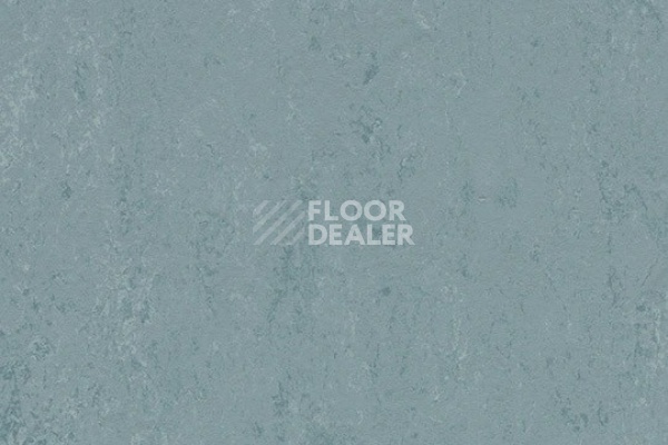 Линолеум Marmoleum Solid Concrete 3753 blue ice фото 1 | FLOORDEALER