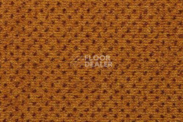 Ковролин CONDOR Carpets Nile 211 фото 1 | FLOORDEALER