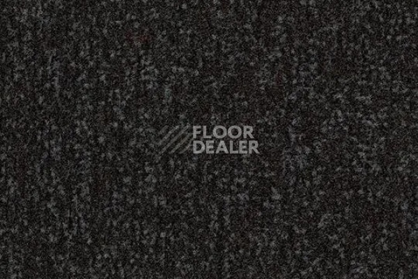 Грязезащитные покрытия Forbo Coral Pro-fit Quattro в плитке свободной укладки 4730 raven black фото 1 | FLOORDEALER