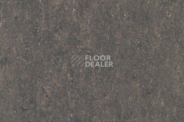 Линолеум Marmorette Dlv  Lch 2.5mm 121-158 фото 1 | FLOORDEALER