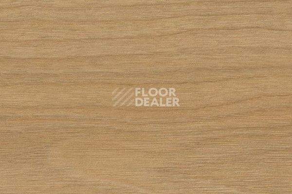 Линолеум Taralay Initial Compact (wood) 0961 Bostonian Honey фото 1 | FLOORDEALER