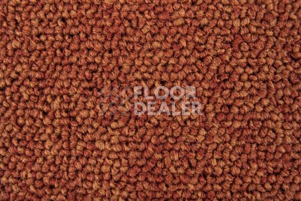 Ковровая плитка Standard Carpets Spectrum sm 526 фото 1 | FLOORDEALER