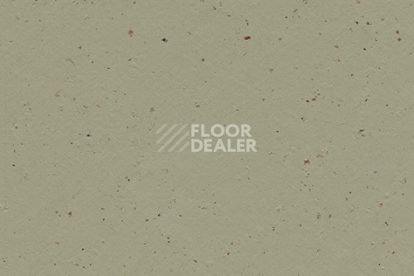 Линолеум Marmoleum Decibel on Order 359335 matcha фото 1 | FLOORDEALER