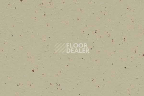 Линолеум Marmoleum Decibel on Order 359535 pannacotta фото 1 | FLOORDEALER