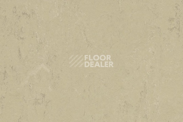 Линолеум Marmoleum Decibel on Order 376135 Titan фото 1 | FLOORDEALER