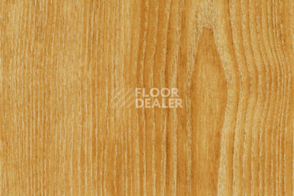 Виниловая плитка ПВХ FORBO allura decibel 0.8 wood 9715AD8 saffron ash (100x20 cm) фото 1 | FLOORDEALER