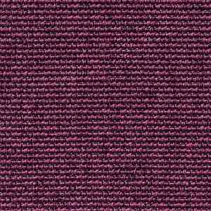 Ковролин Carpet Concept Eco Iqu 9264 фото ##numphoto## | FLOORDEALER