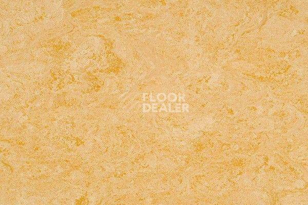 Линолеум Marmorette Dlv  Lch 2.5mm 121-076 фото 1 | FLOORDEALER