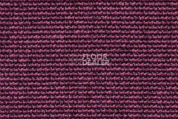 Ковролин Carpet Concept Eco Iqu 9264 фото 1 | FLOORDEALER
