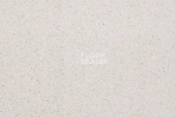 Ковролин Shaw Design Texture Platinum 122 фото 1 | FLOORDEALER