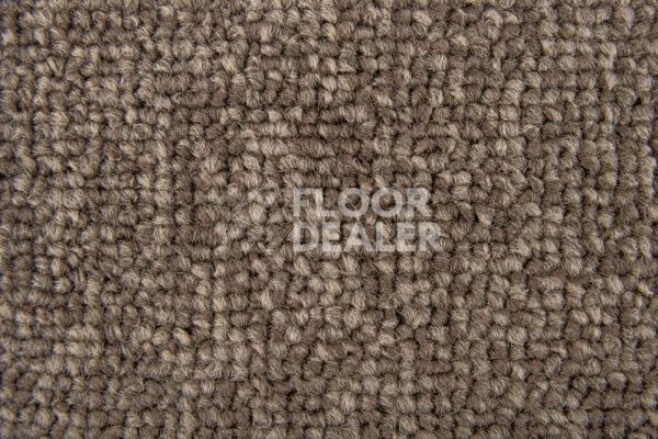 Ковровая плитка Standard Carpets Spectrum sm 545 фото 1 | FLOORDEALER