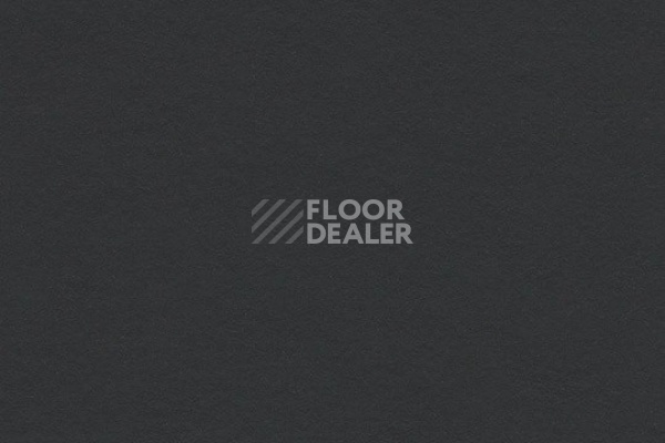 Линолеум Marmoleum Decibel on Order 337435 cobalt grey фото 1 | FLOORDEALER