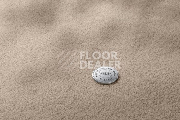 Ковролин Vorwerk Superior 1069/Hermelin 8K22 фото 1 | FLOORDEALER