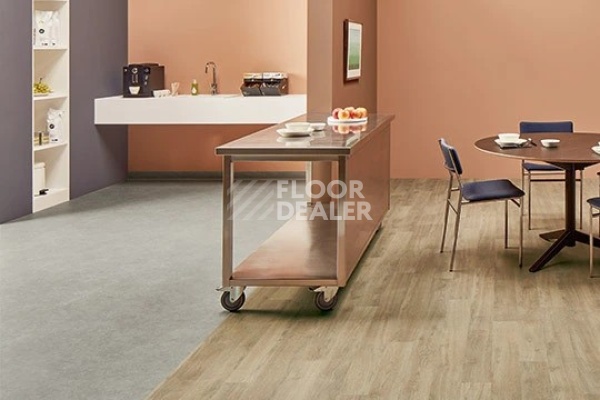 Линолеум Forbo SureStep Material 17122 cool concrete фото 2 | FLOORDEALER