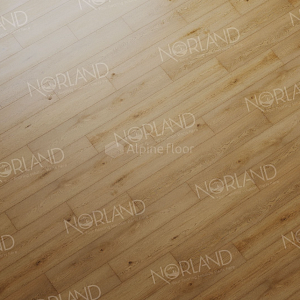 Norland Sigrid 2мм  Blake 1003-2