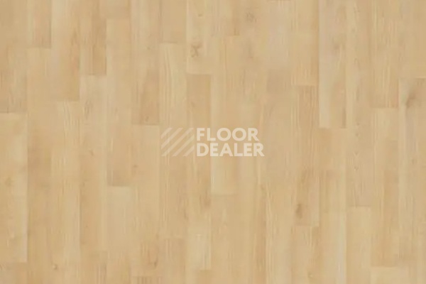 Линолеум Forbo Eternal Original 11122 natural beech фото 1 | FLOORDEALER