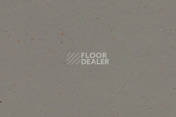 Линолеум Marmoleum Solid Cocoa 3589 nori фото 1 | FLOORDEALER