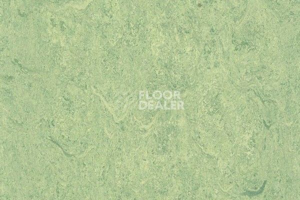 Линолеум Marmorette Dlv  Lch 2.5mm 121-130 фото 1 | FLOORDEALER