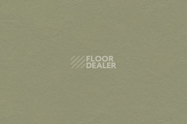 Линолеум Marmoleum Decibel 335535 rosemary green фото 1 | FLOORDEALER