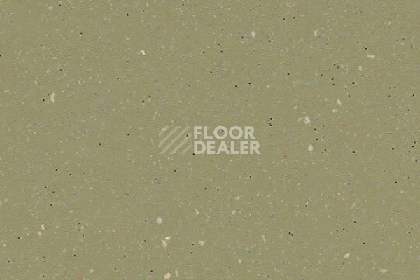 Линолеум FORBO SafeStep R11 174542 moss фото 1 | FLOORDEALER